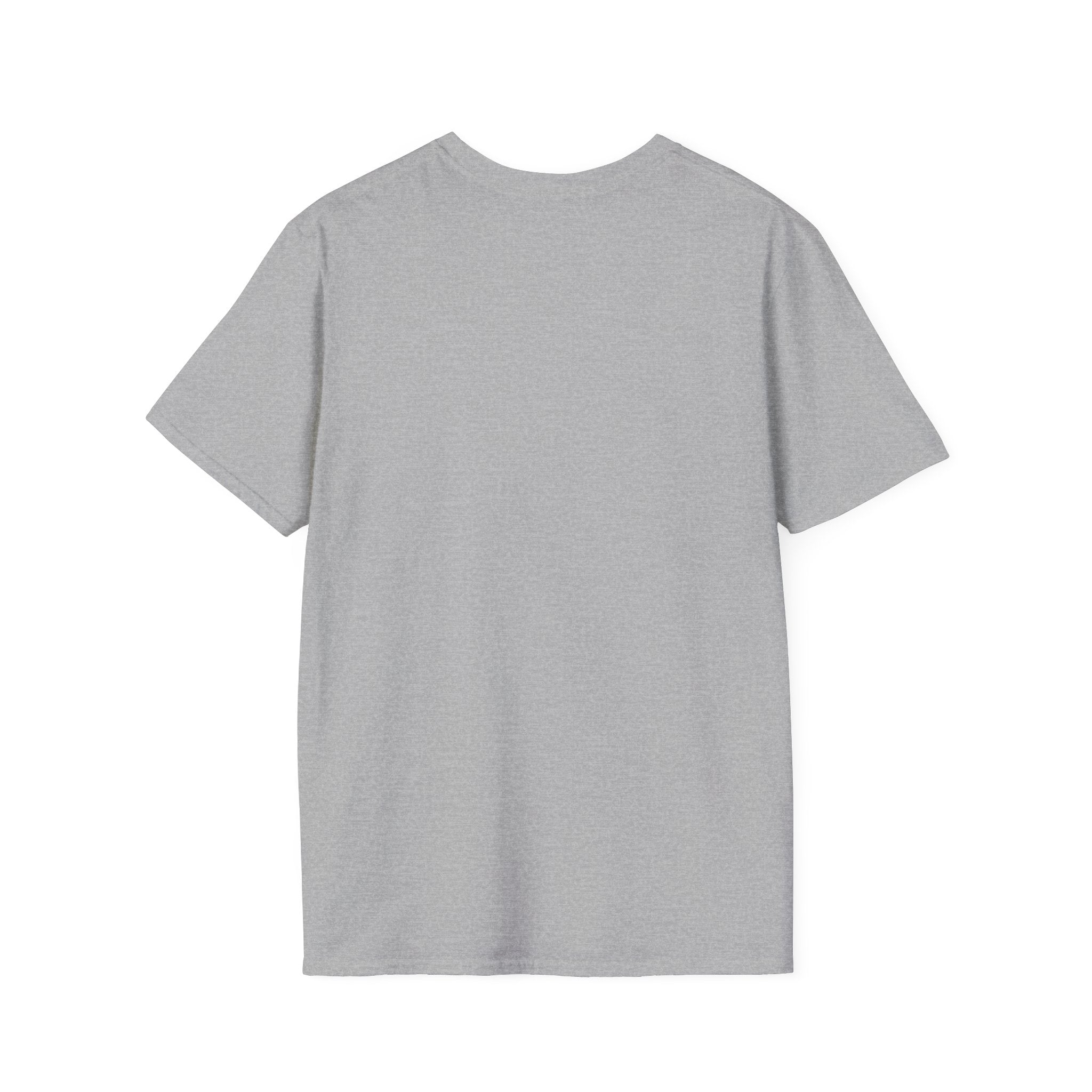 This Game Is Pointless - 0.0.2 Funny Pickleball Tee